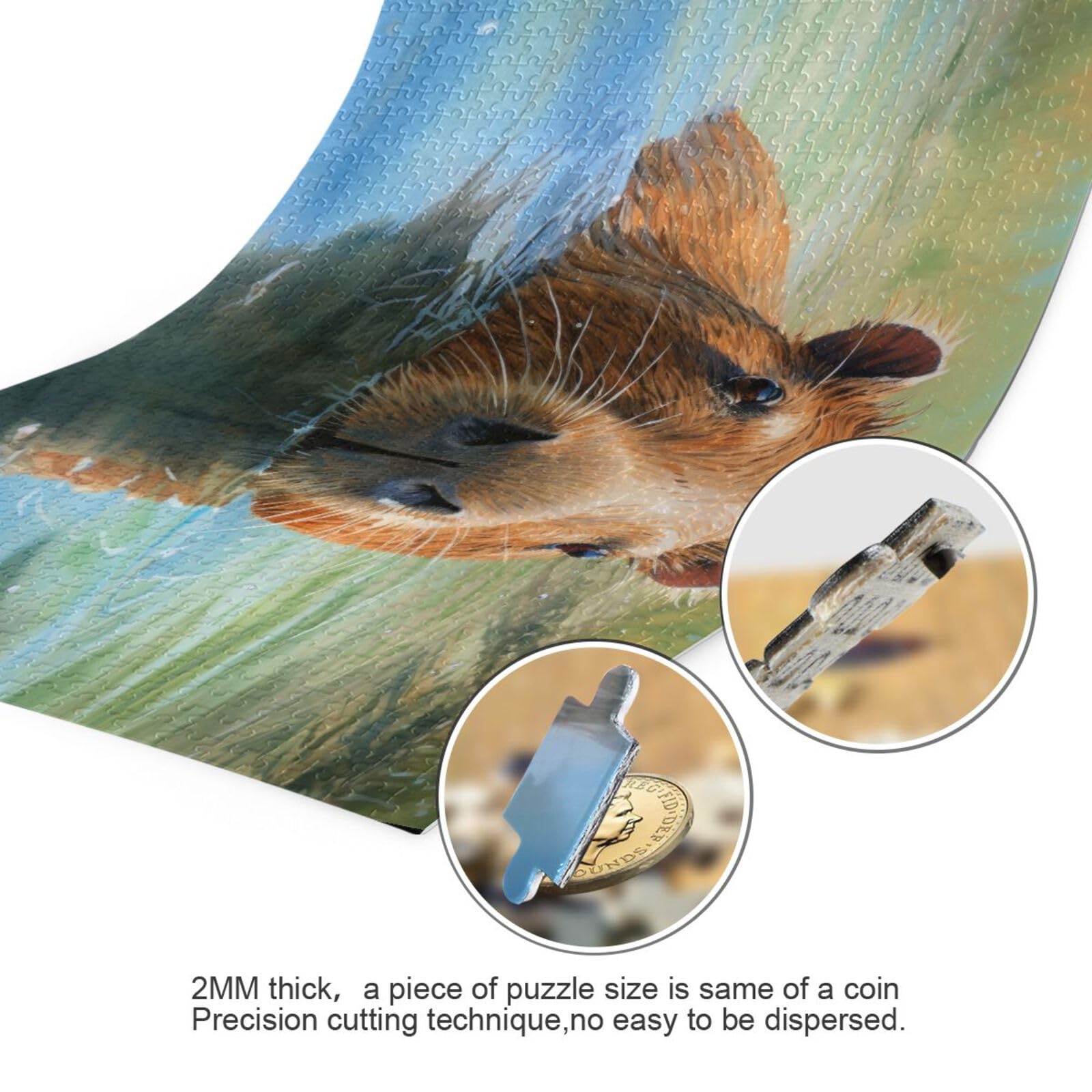 Amazon.com: ZENWAWA Jigsaw Puzzle Swimming Capybara 1000 Pieces